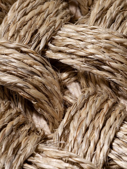 Tapete Tear X Polar Camel