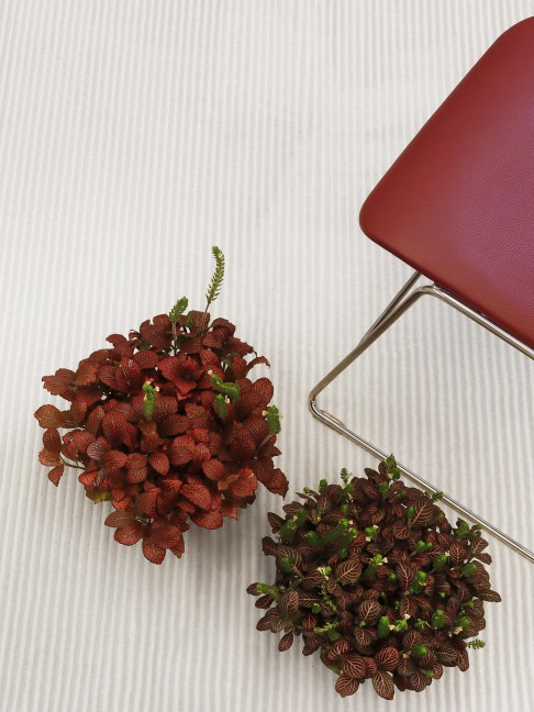 Tapete Pamplona Creme