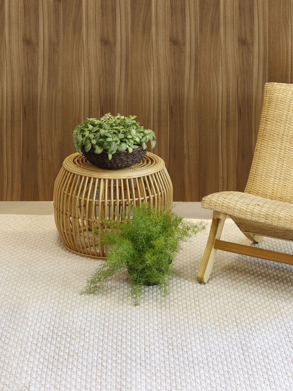 Tapete Astúrias Champagne