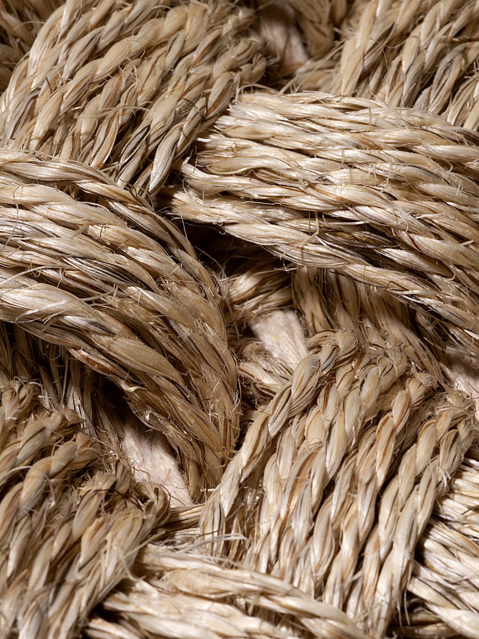 Tapete Tear X Polar Camel