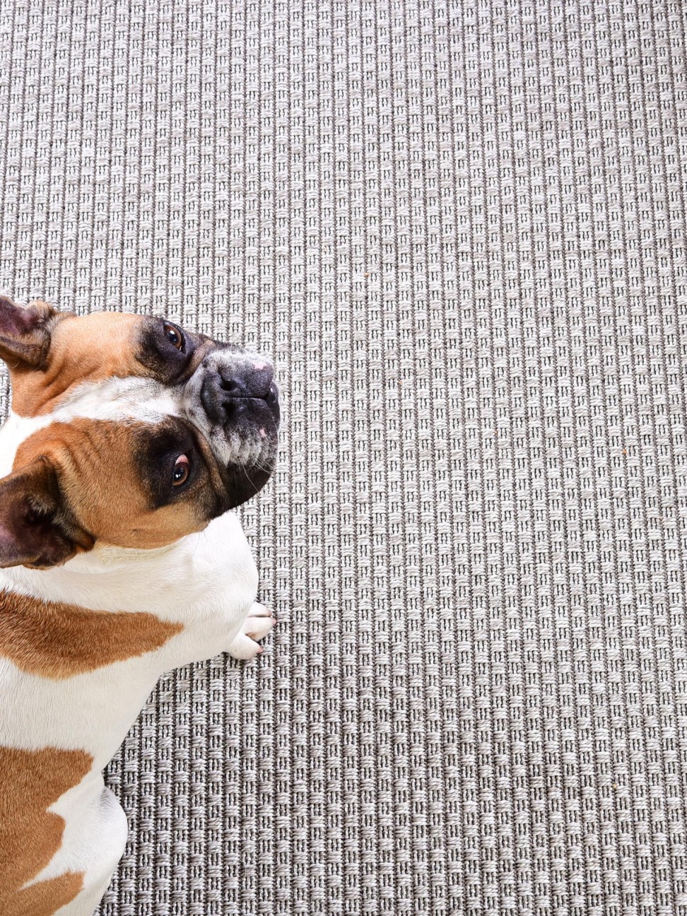 Tapete Lérida Prata