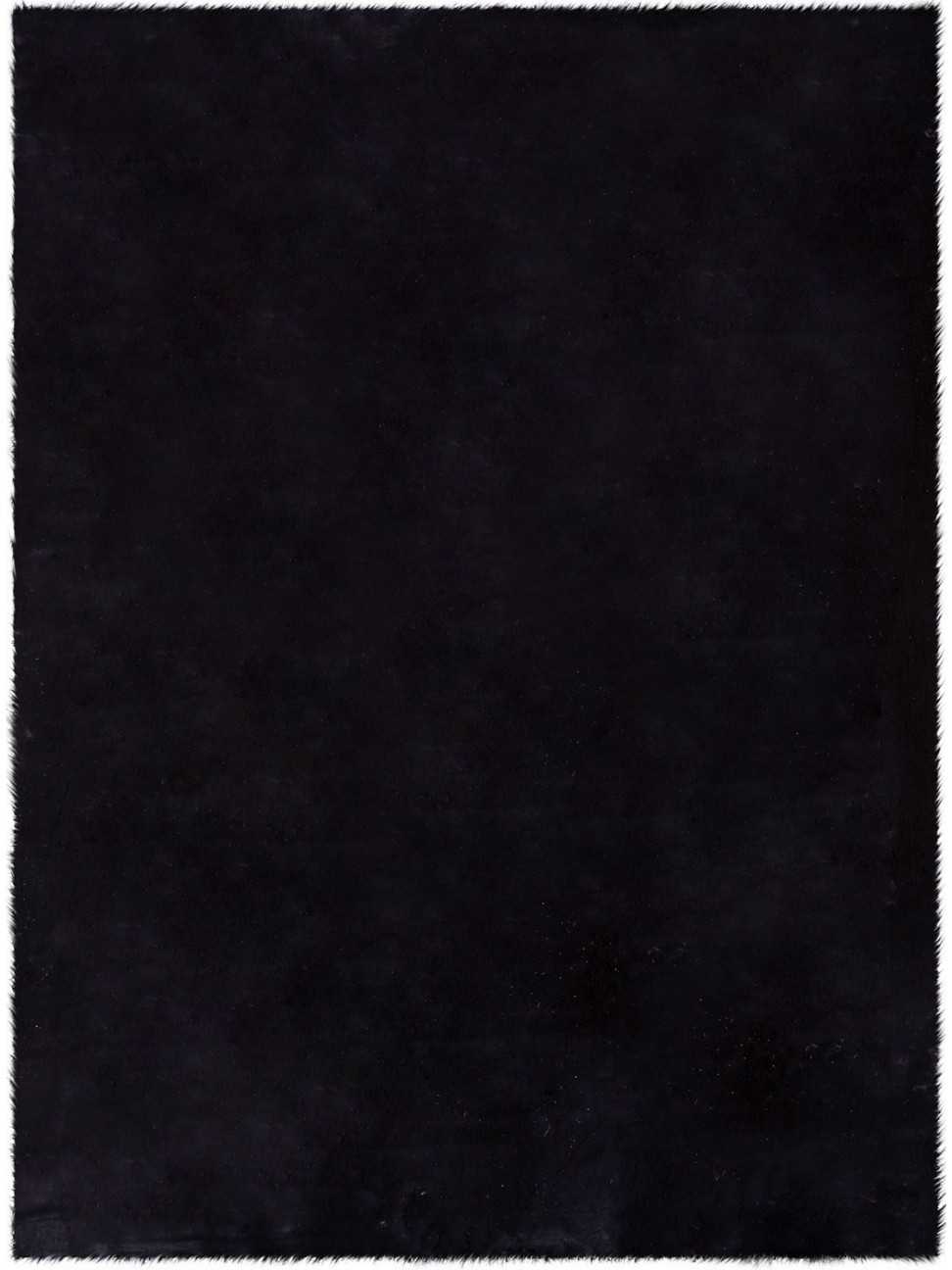Tapete Pluma 04