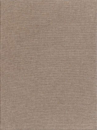 Tapete Sisal Trindade 008